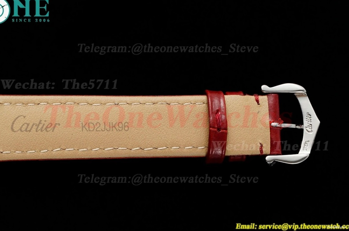 Quartz LE Dumont Silver Dial Wine Santos Red AF RG 0420